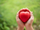 Which Heart Healthy Foods Should You Eat Daily