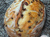 Mini Chocolate Chip Cranberry Sourdough