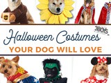 Howl-o-ween Costumes That’ll Turn Your Dog Into the Star of the Night