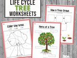 Tree Life Cycle Worksheets