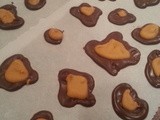 Chocolate and Butterscotch Leopard spots